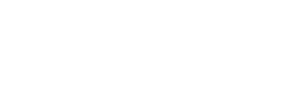 Ninja Stealth Watch